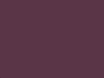 5065 SF Wine Purple